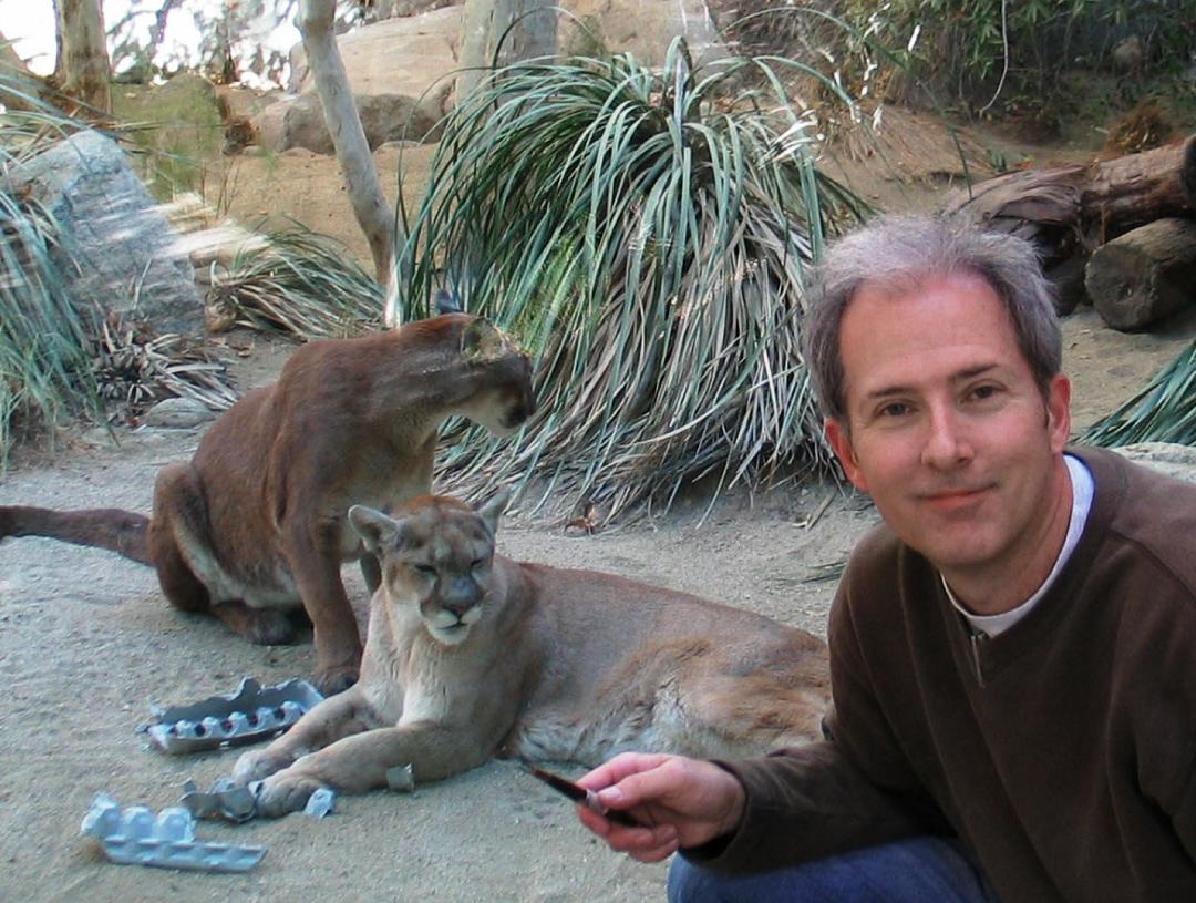 Richard Becker Sculpting Reno and Sedona Mountain Lions 